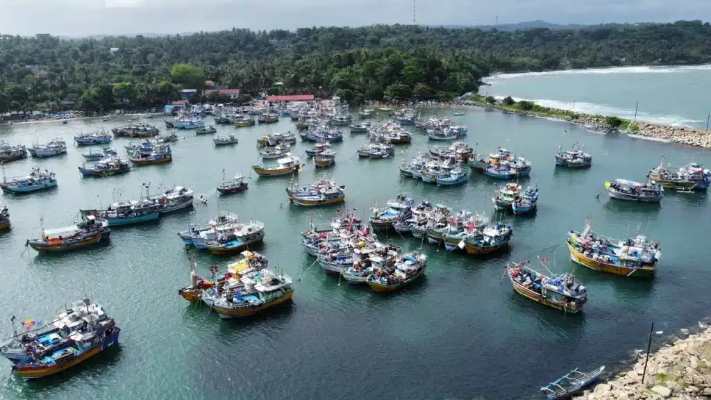 Vue en drône sur le port de pêche Mirissa